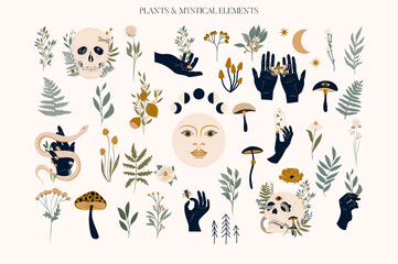 set of mystical elements and flower, herb and plants. editable vector clipart illustration.