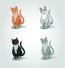 A Set Of Isolated Cats. Gray Tabby Cat, Red Tabby Cat, White Cat And Black Cat.