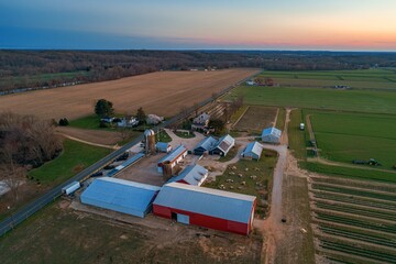 Tulip in farm aerial