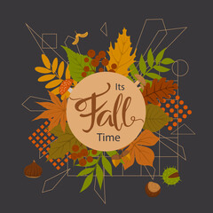 Wall Mural - its autumn fall time park forest leaves arrangement with geometric elements on black background