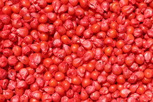 Pile Of Red Corn Seeds.