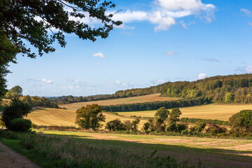 Countryside near Stoughton in the South Downs National Park, West Sussex, England, UK