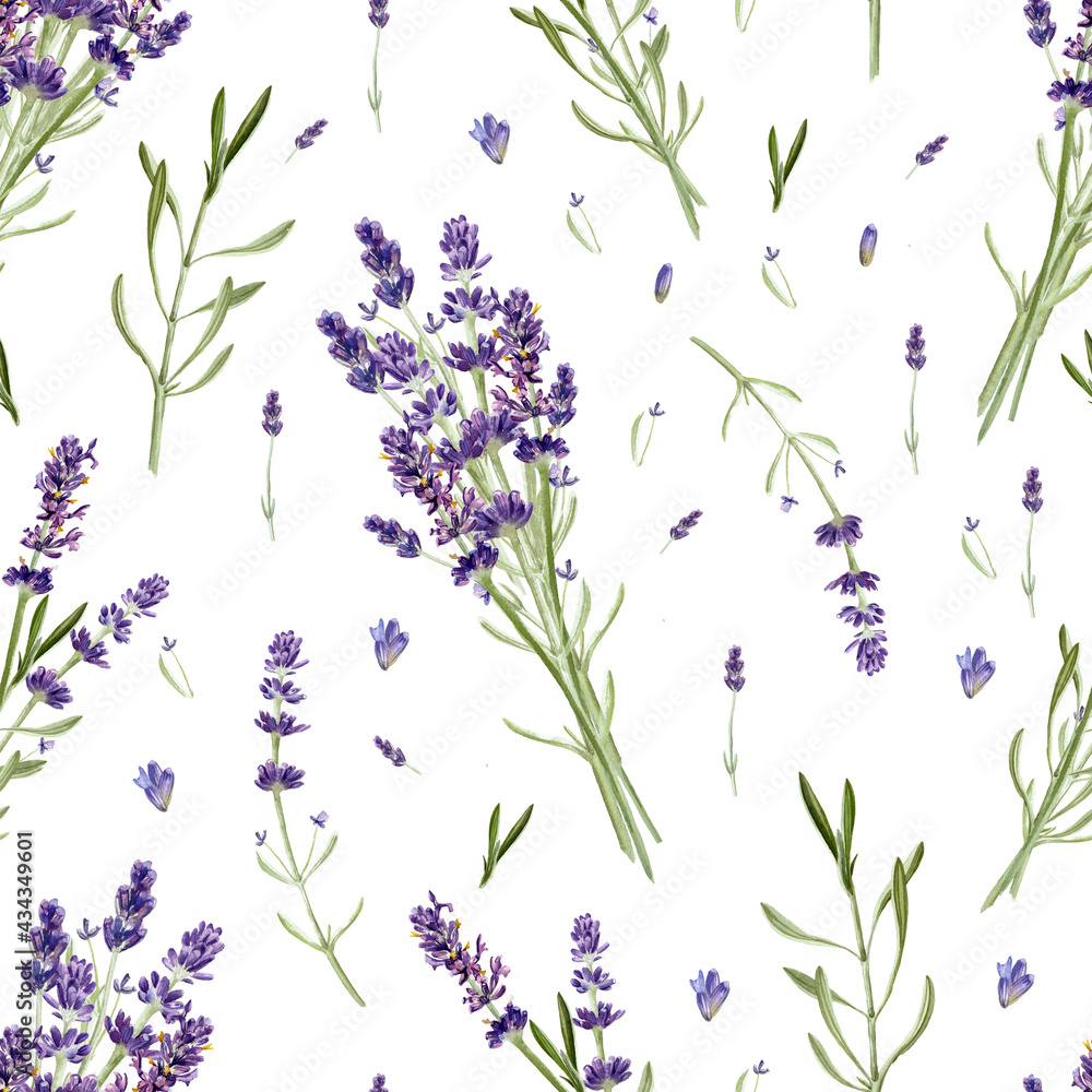 Lavender flowers seamless pattern isolated on white background ...