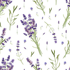 Lavender flowers seamless pattern isolated on white background. Watercolor hand drawing  botanical illustration. For card, wallpaper, packaging, invitation