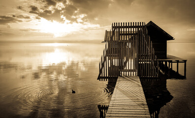 Poster - old wooden jetty at a lake in bavaria