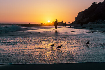 Wall Mural - Laguna Beach