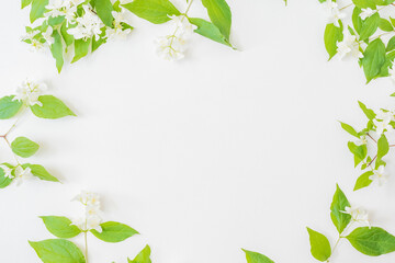 Wall Mural - flat lay composition with branches and green leaves, jasmine flowers on a white background