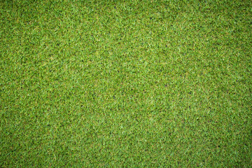 Canvas Print - artificial grass texture for background