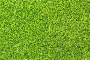 Canvas Print - artificial grass texture for background