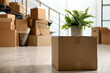 Cardboard box with houseplant in new office, space for text. Moving day