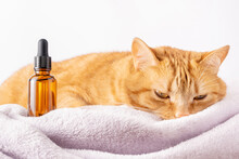 Depressed Ginger Cat And A Vial Of Medicine With Dropper. Mock-up Of Bottle With Herbal Treatment. Help In Treating Pets With Hard Diseases.