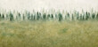 Seamless pattern with foggy spruce forest. Watercolor painting