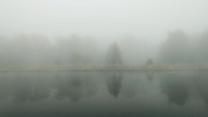 Wall Mural - Beautiful scenic foggy river in the morning.