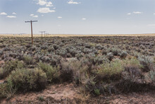 The Old Route 66 Covered In Brush And Lined With The Old Telephone Poles