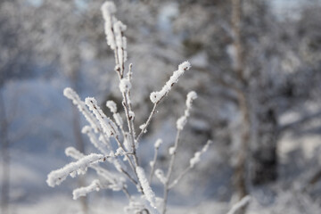 Wall Mural - Icicles