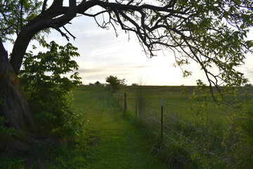 Wall Mural - Path Sunset