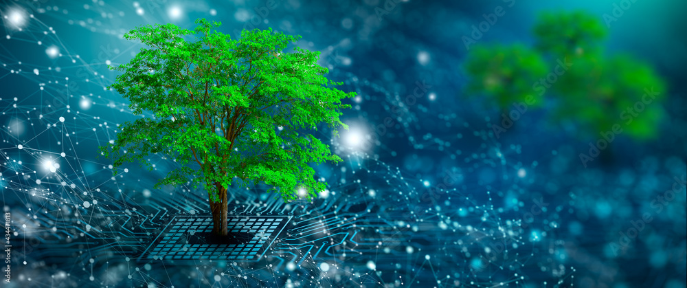 Tree with soil growing on  the converging point of computer circuit board. Blue light and wireframe network background. Green Computing, Green Technology, Green IT, csr, and IT ethics Concept. - obrazy, fototapety, plakaty 