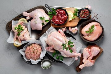 Wall Mural - Raw chicken meat parts with spices and herbs for cooking on gray background.