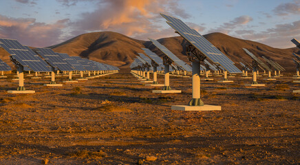 Wall Mural - solar farm in the desert