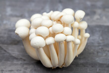 White Edible Mushrooms Shimeji On Ceramic Background