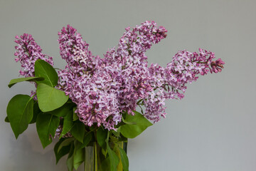 Bouquet of lilacs in a vase