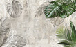 Tropical leaves on beige old concrete wall background. Material for advertising and creativity. Monstera Leaves. 3d illustration. Banner With Copy Space