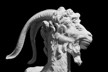 Black And White Photo Of Ancient Roman Sculpture Showing In Detail A Goat´s Head