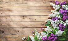 Blooming Lilac Flowers (syringa Vulgaris) On Rustic Wooden Background
