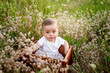 © Any Grant - baby in flowers on the field in summer in a white dress
