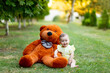 © Any Grant - a smiling baby is sitting on the green grass with a large Teddy bear in a yellow summer dress in summer