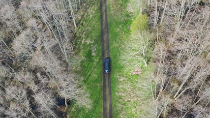 Wall Mural - Aerial above shot following a car driving through dirt road surrounded by wet forest. Leafless trees around