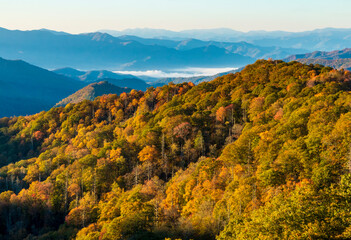 vibrant early morning autumn in the Great Smoky Mountains national park in Tennessee  overlooking the Appalachian and Blue Ridge mountain range.  