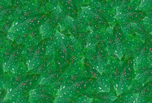 Repeated Pattern Of A Green Caladium Leaf With Red To White Spots.