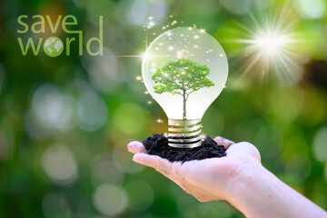 Poster - Human hand holding energy saving light bulb and save world concept, World environment day concept,save world and business eco concept