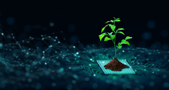 Wall Mural -  - Tree with soil growing on  the converging point of computer circuit board. Blue light and wireframe network background. Green Computing, Green Technology, Green IT, csr, and IT ethics Concept.