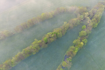 Poster - Aerial view of fields and lines of green trees, during sunrise. Beautiful universal countryside with green fields and meadows. Rural landscape on sunset. Romantic Misty morning between fields.