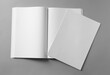 Paper sheet and open blank brochure on light grey background, flat lay