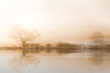 Rural Misty Norfolk Landscape With Water Reflections