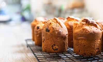 Wall Mural - Muffins with dried fruits on black metal grille. Homemade baking or bakery shop concept.