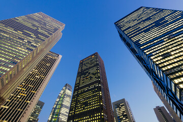 Wall Mural - Tokyo skyscrapers in Shinjuku downtown and business district. Tokyo, Japan.