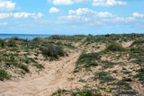 Fototapeta Sawanna - Andalusian beach
