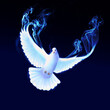 Holy Spirit digital painting, pigeon
