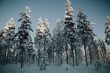 Zima w Laponii. Finlandia
