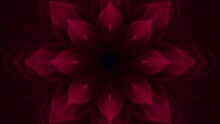 Red Plant Like Organic Kaleidoscope Hypnotic VJ Loop