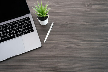 Wall Mural - Office table desk concept with laptop computer and pen, green plant and vintage wooden, top view with copy space