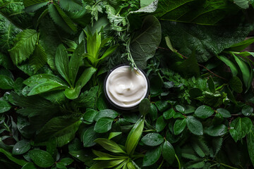 Poster - Cosmetic cream on green leaves