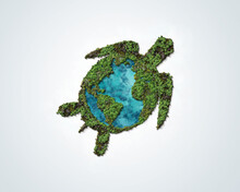 World Turtle Day Concept Background, May 23. Green 3d Turtle Concept Of Ocean Day And Environment Day. 