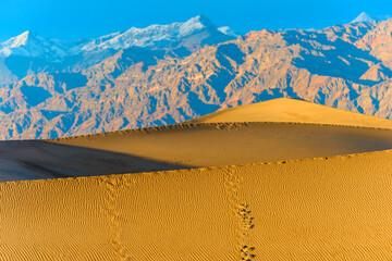 Wall Mural - Foot steps on sand dune