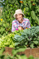 Wall Mural - person working in garden. Young woman in summer field garden planting watering care about rows, plants