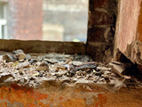 Fototapeta  - otwór okienny w starym murze
